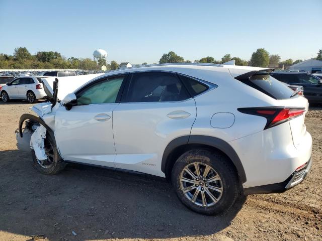 Obraz 2 z 2021 LEXUS NX 300H BASE 2021 z VIN JTJDJRDZ9M5011208