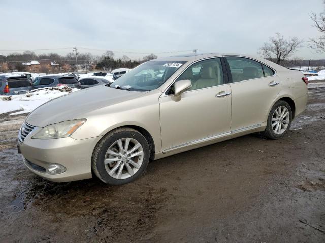 2011 LEXUS ES 350 2011 image