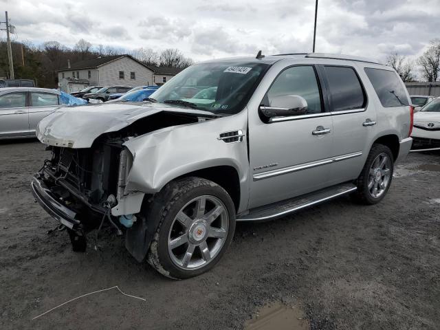2011 CADILLAC ESCALADE LUXURY 2011 image