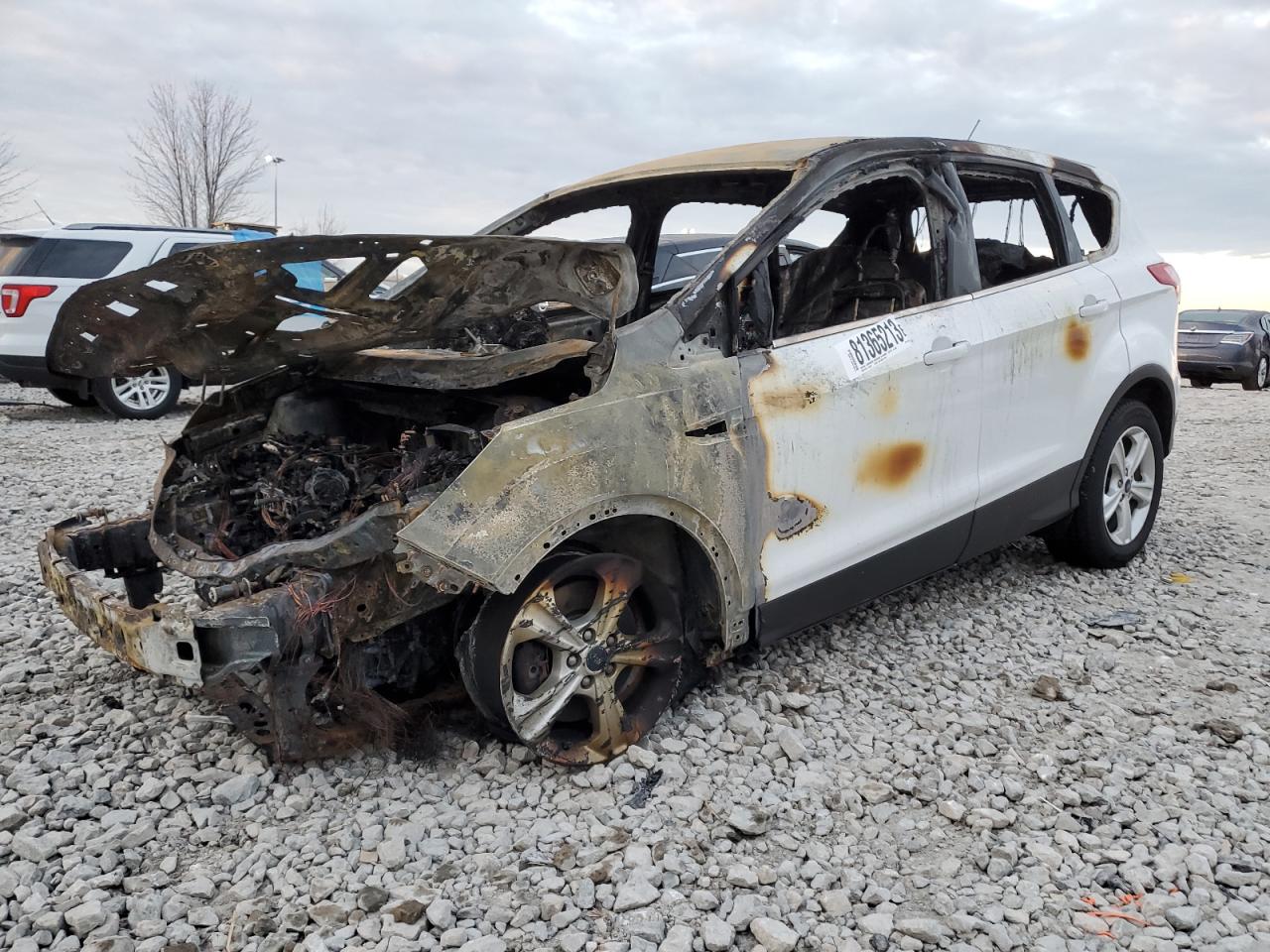 Изображение 1 2014 FORD ESCAPE SE 2014 с VIN 1FMCU9GX4EUB73427