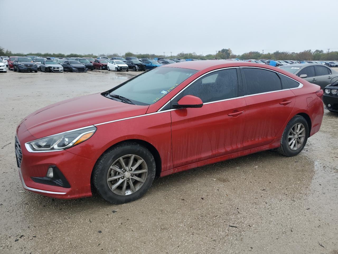 Obraz 1 z 2019 HYUNDAI SONATA SE 2019 z VIN 5NPE24AF0KH785104