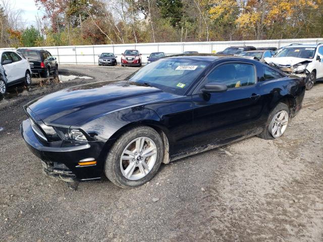 Obraz 2014 FORD MUSTANG  2014