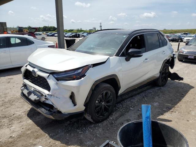 2022 TOYOTA RAV4 XSE 2022 image
