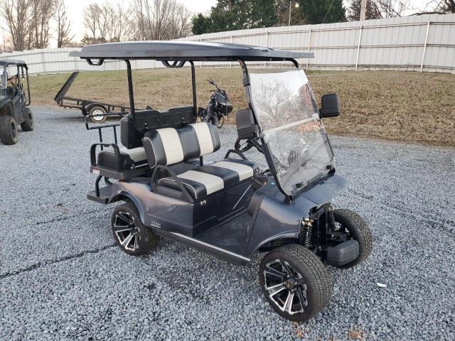 2023 EVOL GOLF CART 2023 image