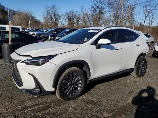 Obraz 2024 LEXUS NX 250 BASE 2024
