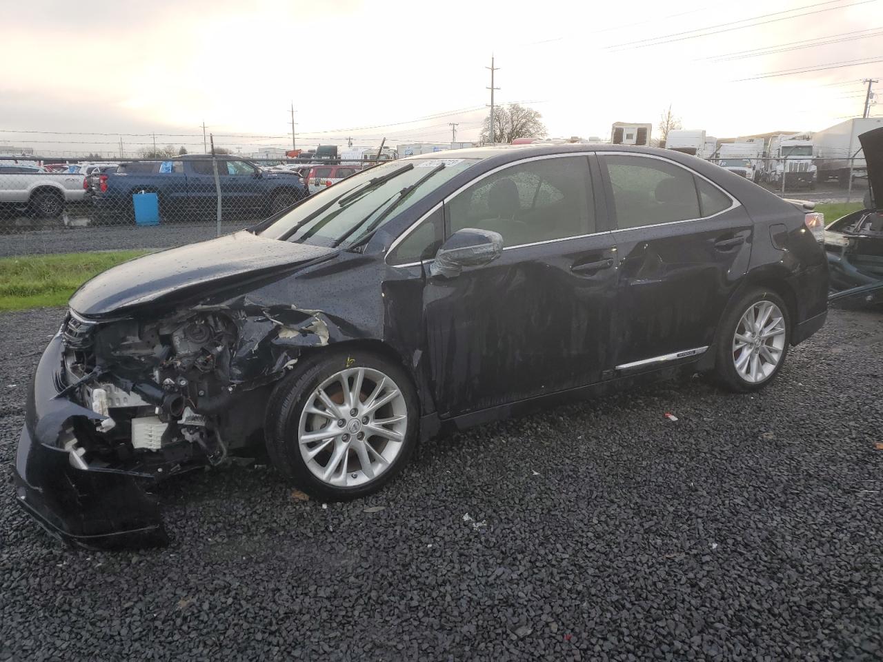 Obraz 2010 LEXUS HS 250H 2010