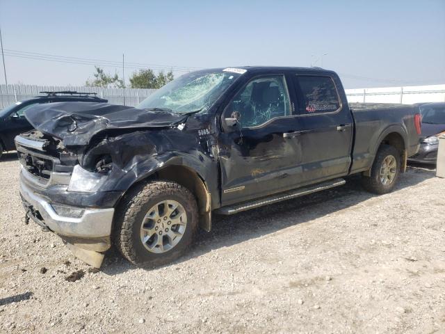 Image 1 of 2023 FORD F150 SUPERCREW 2023 with VIN 1FTFW1ED2PFA60802