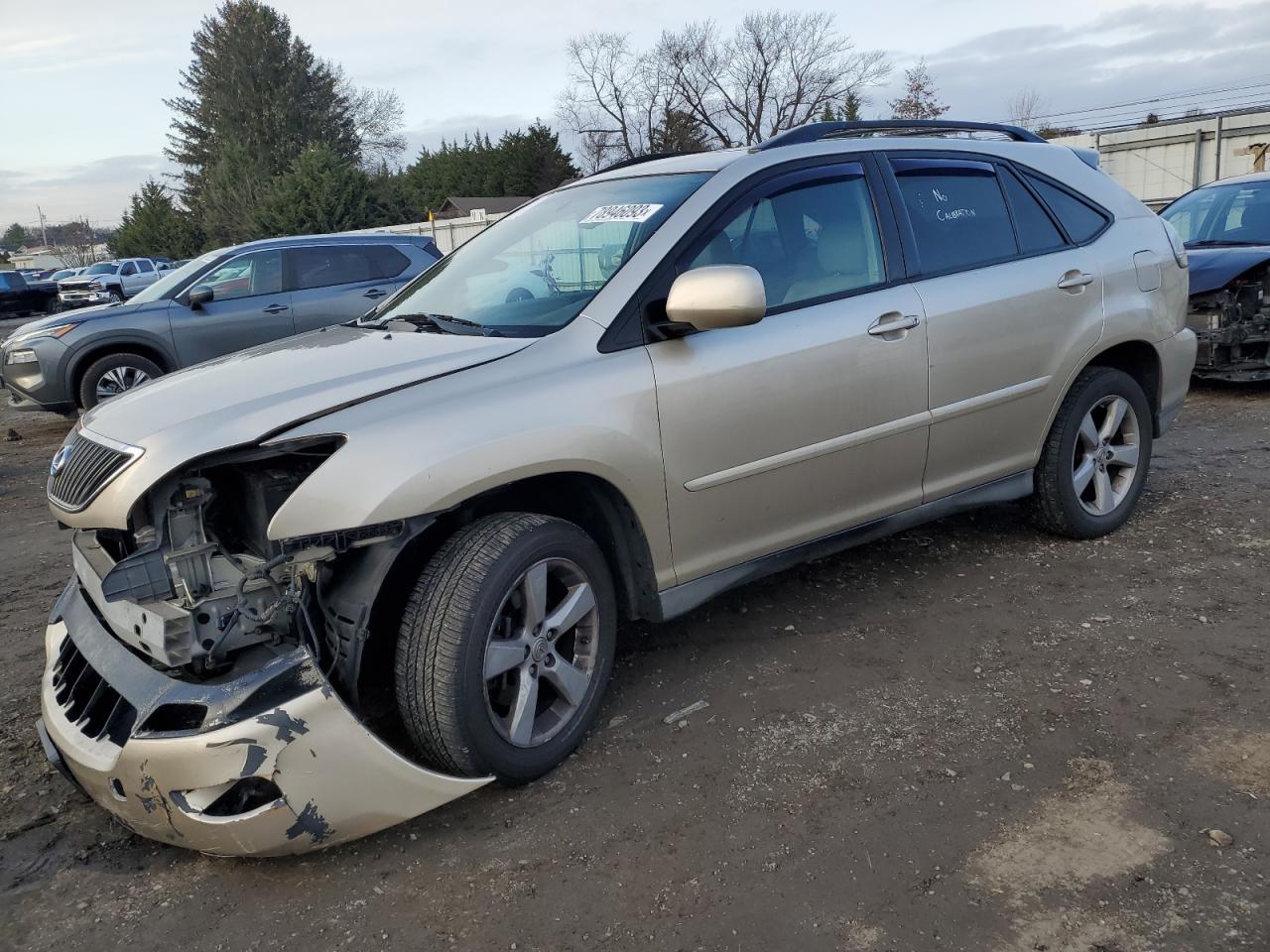 2007 LEXUS RX 350 2007 image