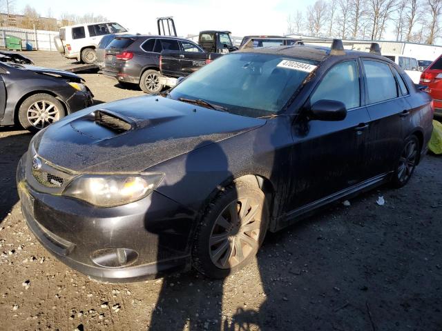 2009 SUBARU IMPREZA WRX 2009 image