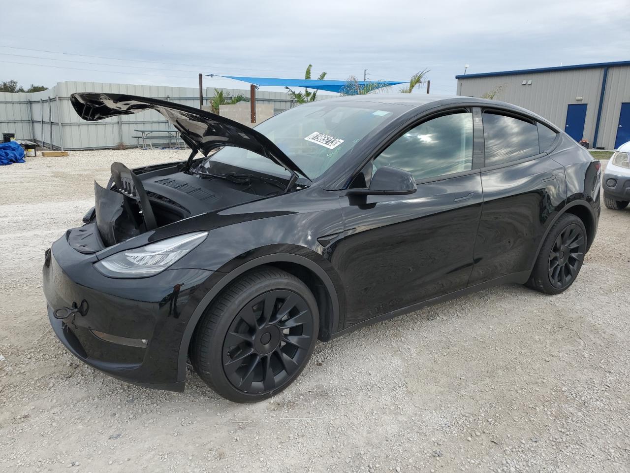 2022 TESLA MODEL Y  2022 image