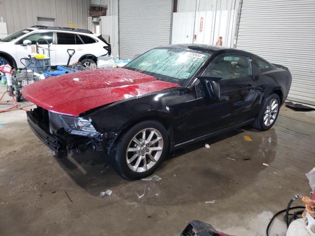 Image 1 of 2011 FORD MUSTANG  2011 with VIN 1ZVBP8AM1B5124124