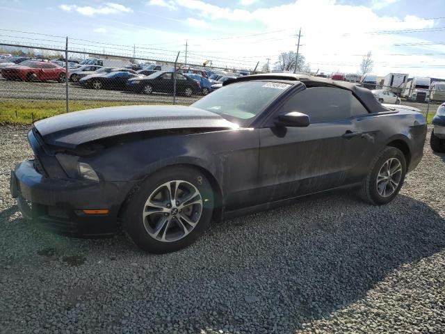 2014 FORD MUSTANG  2014 image
