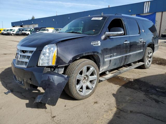 2014 CADILLAC ESCALADE ESV PLATINUM 2014 image