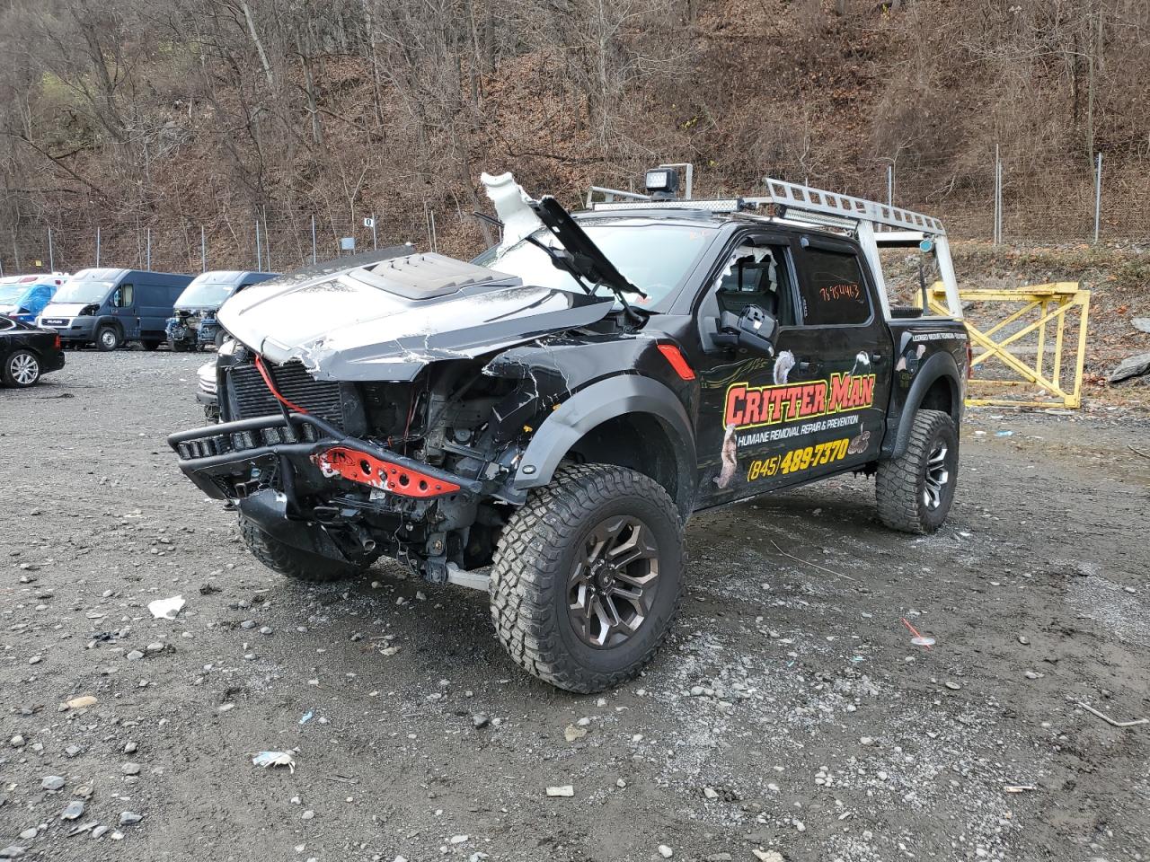2019 FORD F150 RAPTOR 2019 image