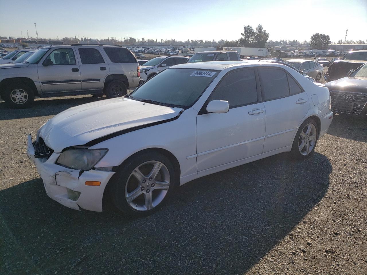Obraz 2004 LEXUS IS 300 2004