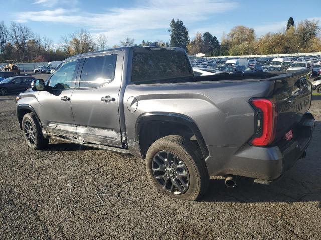 Obraz 2 z 2023 TOYOTA TUNDRA CREWMAX PLATINUM 2023 z VIN 5TFNA5DB3PX103913
