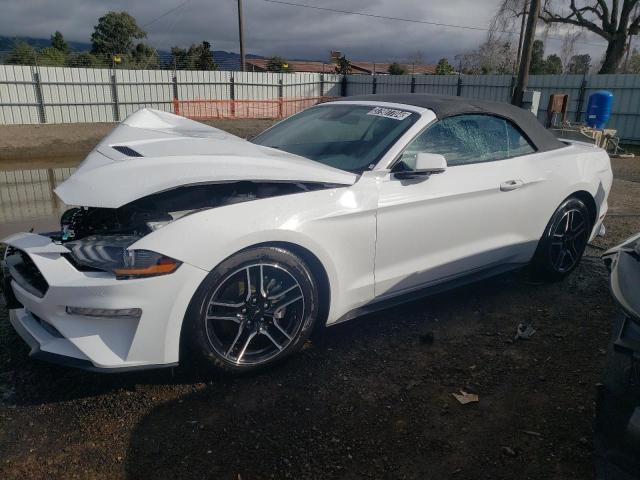 Obraz 2023 FORD MUSTANG  2023