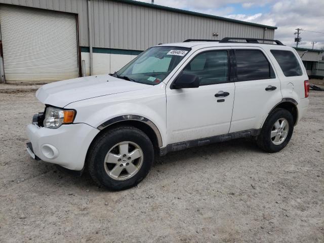 Image 1 of 2012 FORD ESCAPE XLT 2012 with VIN 1FMCU9D71CKA77381
