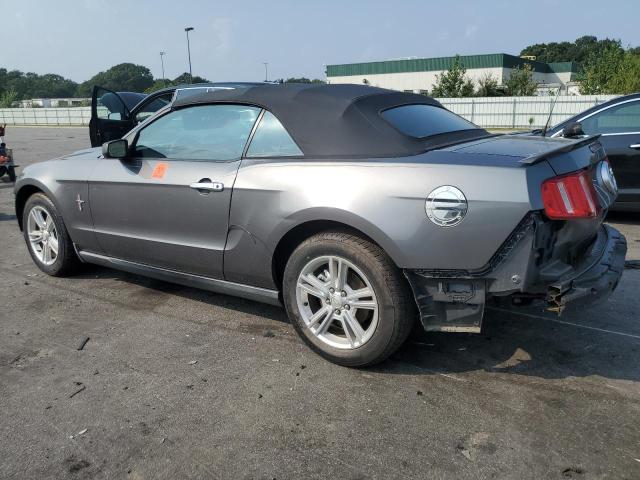 Image 2 of 2010 FORD MUSTANG  2010 with VIN 1ZVBP8EN3A5149219