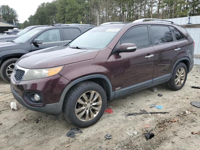 2011 KIA SORENTO EX 2011 image