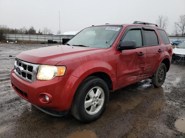 Obraz 2010 FORD ESCAPE XLT 2010
