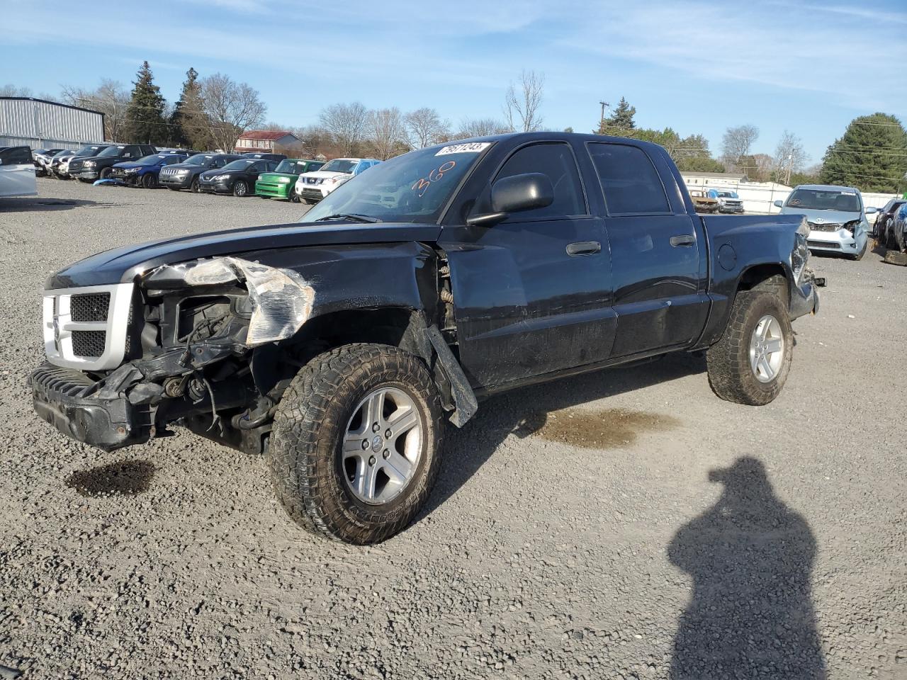 2011 DODGE DAKOTA SLT 2011 image