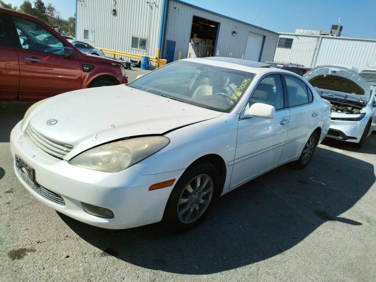 2004 LEXUS ES 330 2004 image
