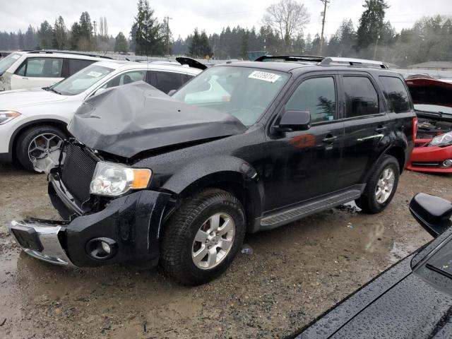 Obraz 2010 FORD ESCAPE LIMITED 2010