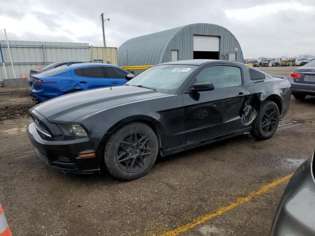 2013 FORD MUSTANG  2013 image