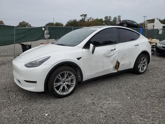 2023 TESLA MODEL Y  2023 image