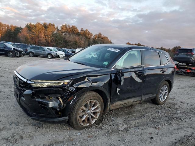 2023 HONDA CR-V EXL 2023 image