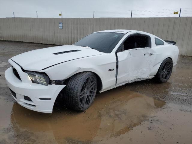 Image 1 of 2014 FORD MUSTANG GT 2014 with VIN 1ZVBP8CF3E5281219