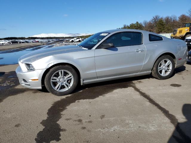 Image 1 of 2013 FORD MUSTANG  2013 with VIN 1ZVBP8AM0D5241650