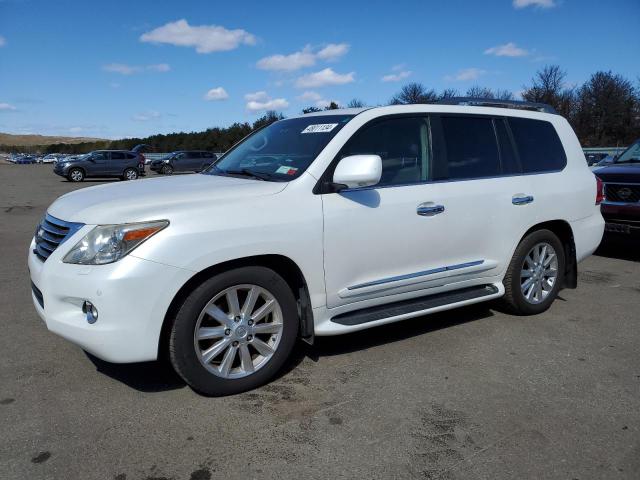 2010 LEXUS LX 570 2010 image