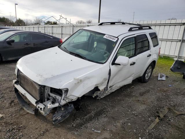 2008 FORD ESCAPE HEV 2008 image