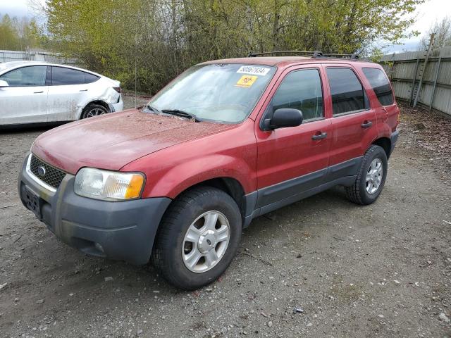 2003 FORD ESCAPE XLT 2003 image