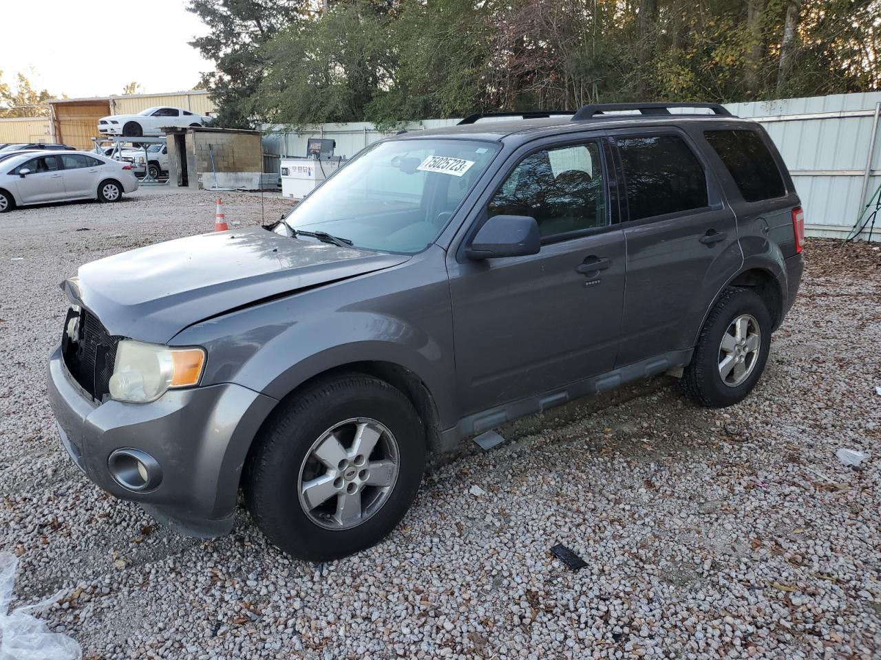 Изображение 2010 FORD ESCAPE XLT 2010
