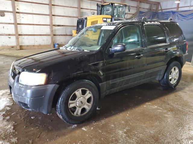 2004 FORD ESCAPE XLT 2004 image