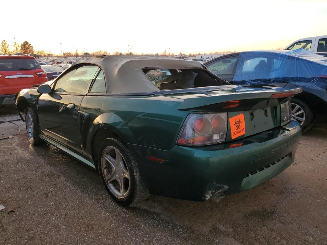 Obraz 2 z 2001 FORD MUSTANG GT 2001 z VIN 1FAFP45X21F154085
