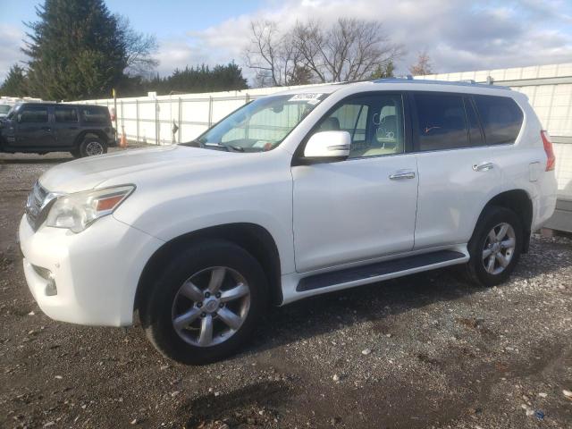 2011 LEXUS GX 460 2011 image