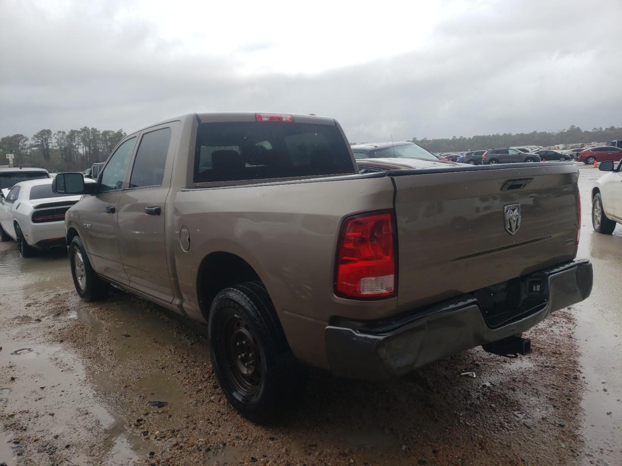 Изображение 2 2010 DODGE RAM 1500  2010 с VIN 1D7RB1CP9AS213332