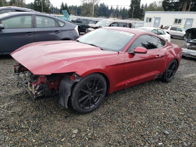 2015 Ford Mustang 2015 image