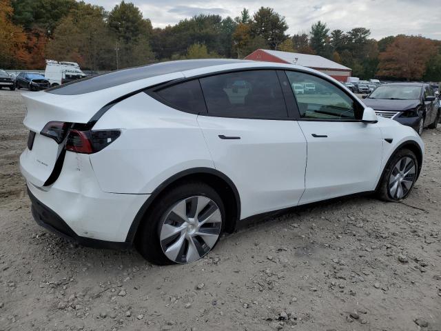 Image 3 of 2023 TESLA MODEL Y  2023 with VIN 7SAYGDEE4PF837455