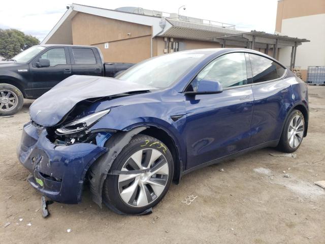 2023 TESLA MODEL Y  2023 image