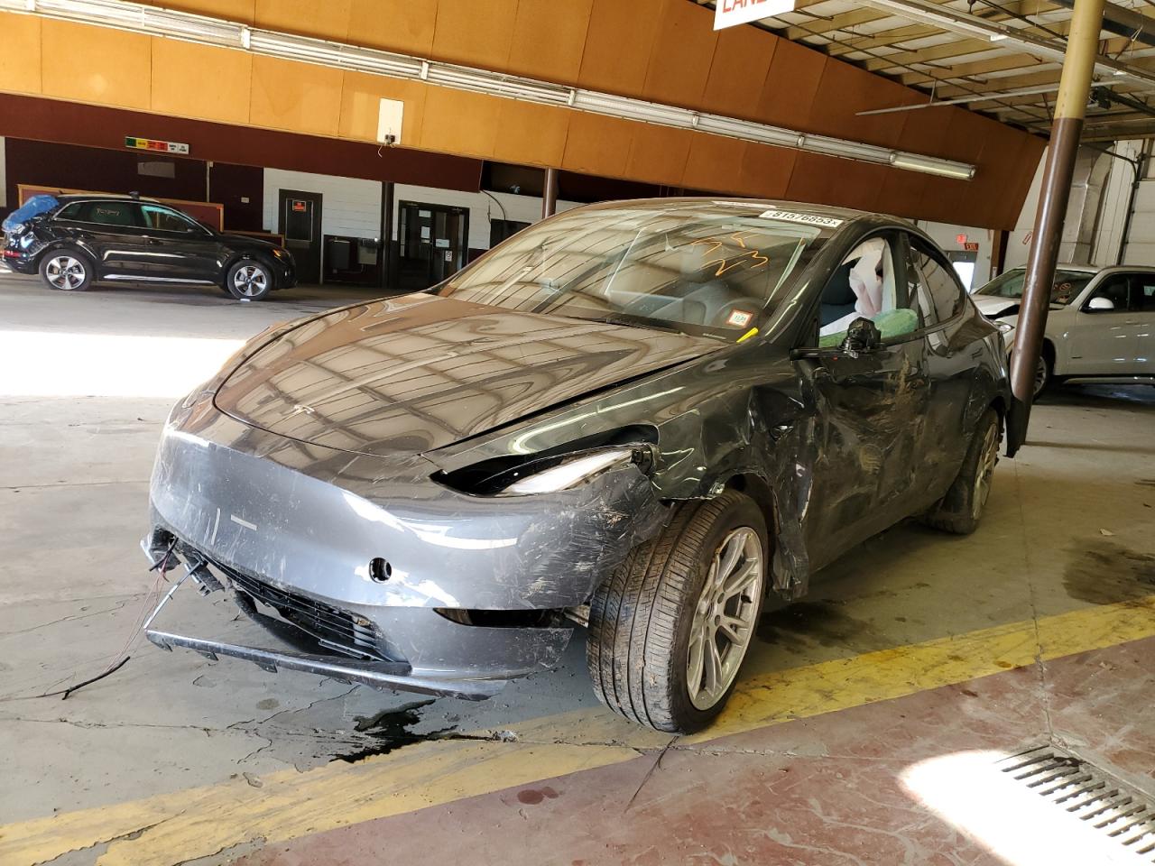 2023 TESLA MODEL Y  2023 image