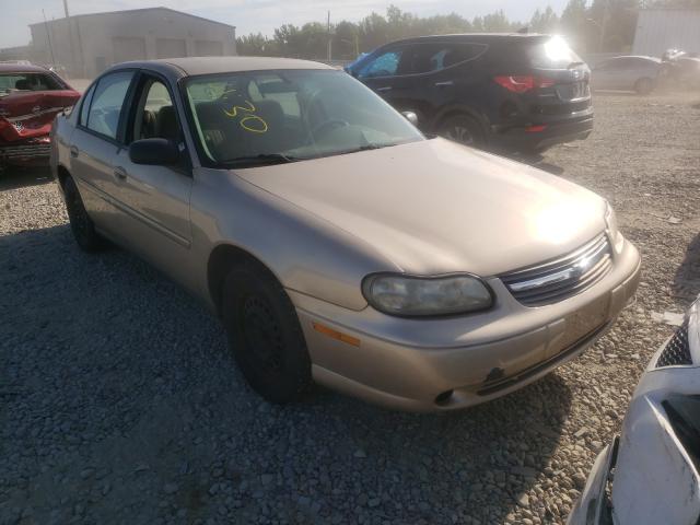 Obraz 1 z 2005 CHEVROLET CLASSIC 2005 z VIN 1G1ND52F25M191423