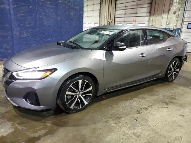 2023 NISSAN MAXIMA SV 2023 image