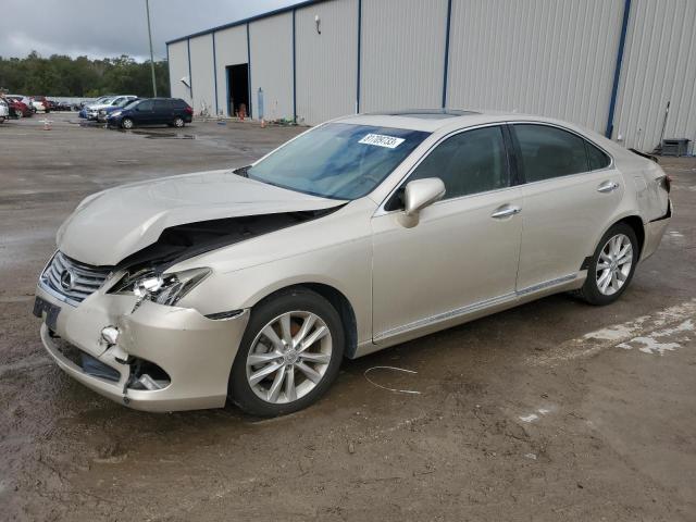 Obraz 2010 LEXUS ES 350 2010
