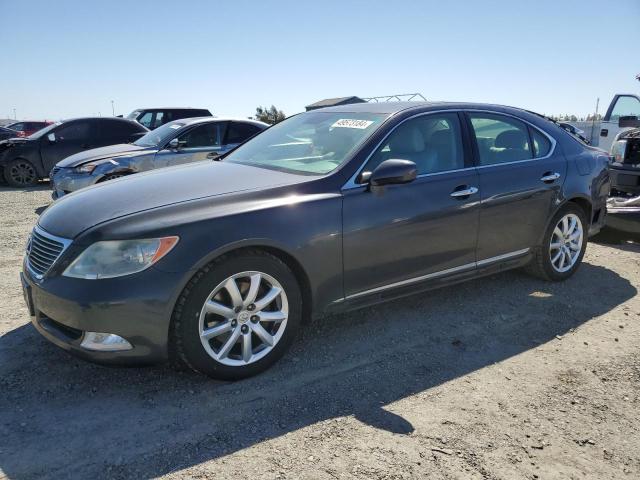 2009 LEXUS LS 460 2009 image