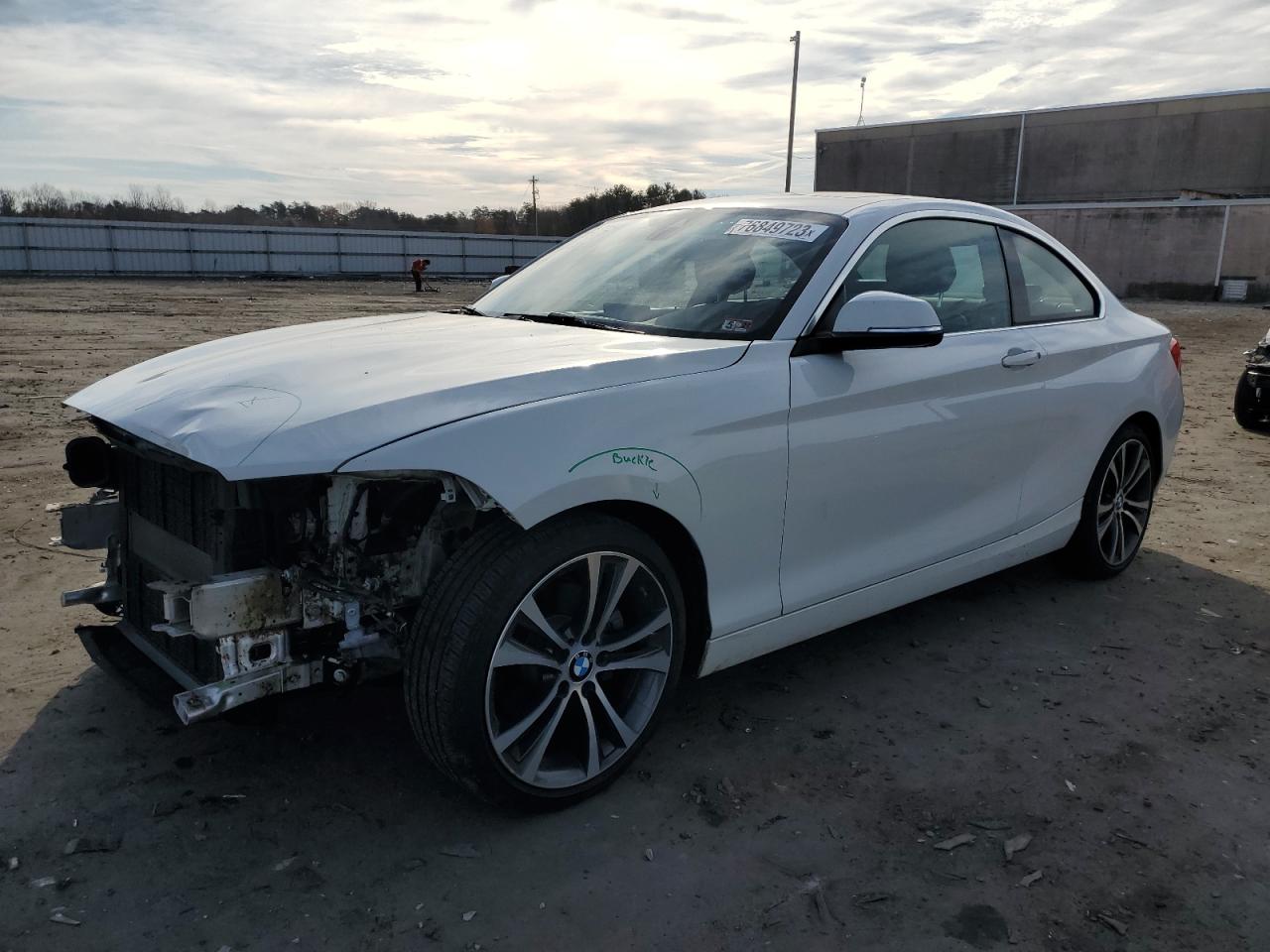 Image 1 of 2019 BMW 230XI  2019 with VIN WBA2J3C53KVD49058